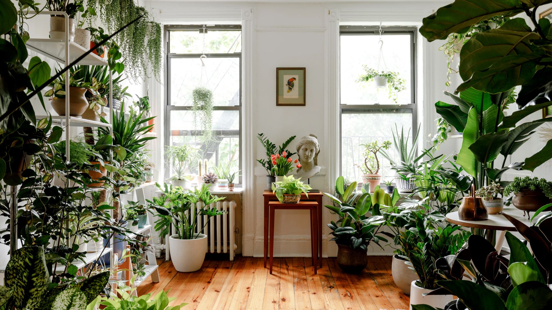 Indoor Plants: Your Green, Leafy Friends - Journalyst