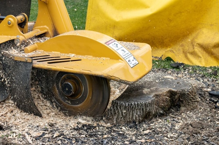 Stump grinding
