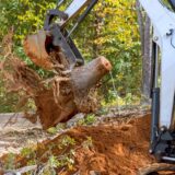 Tree root removal